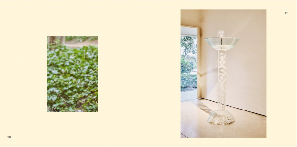 Silvia Gubern, Esplendor. Tornar a l’origen (Ed. Col·leccionista)